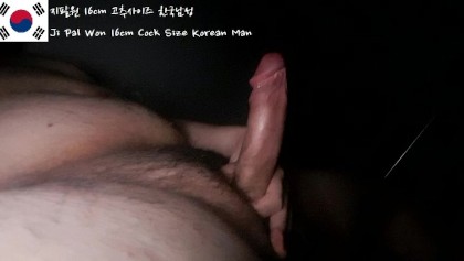 Korean Man Cock Size 15cm 5.90inch Man Ho Jang Asia Dick Size Ranking No.2  Korea - Free XXX Porn Videos | OyOh